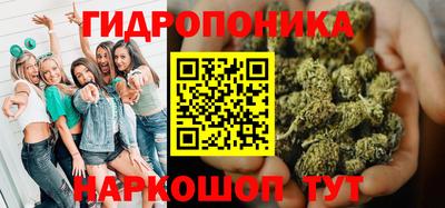 сатива Краснодар