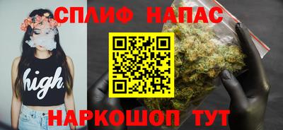 сатива Краснодар