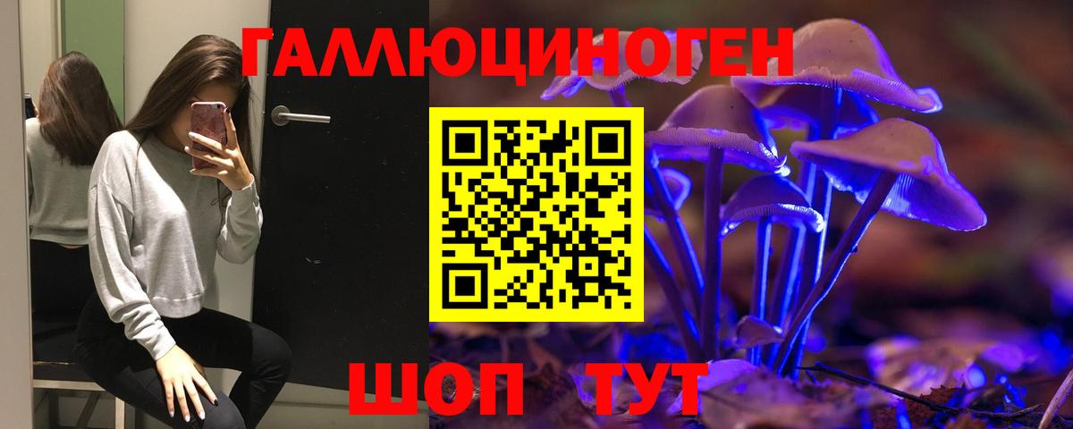 Ковров  Псилоцибиновые грибы MAGIC MUSHROOMS  Вход с VPN 